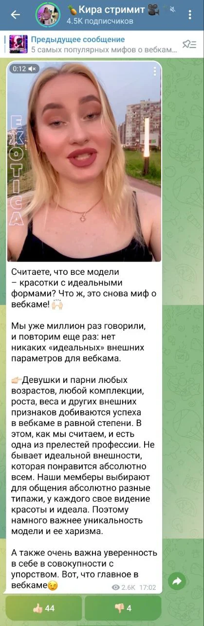 Скриншот внешность вебкам моделей